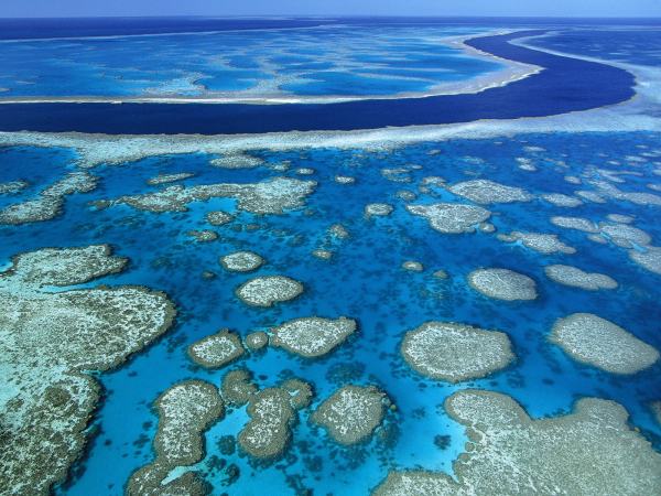 Great Barrier Reef, Discovering Colorful Diversity - Tourism on the Edge