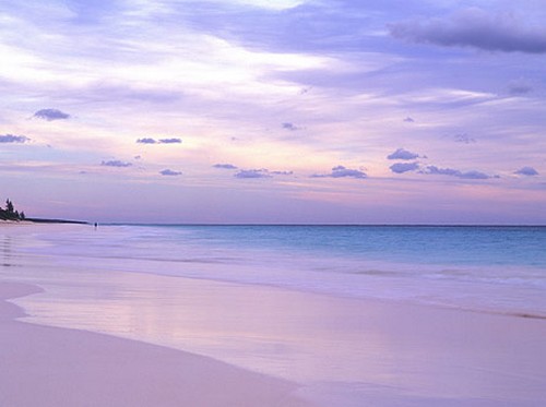 pink beach bahamas