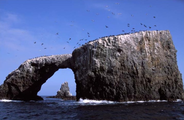 CaliforniaChannelIslandsNationalPark