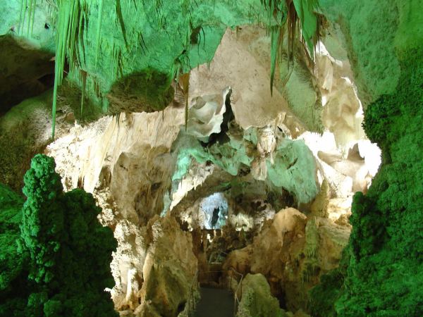 Carlsbad Caverns National Park 171