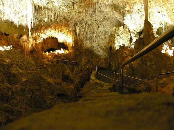Carlsbad_Caverns_rail_pic