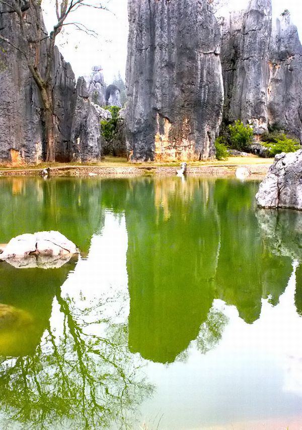 stone forest_china