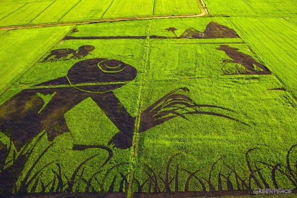 organic-rice-art