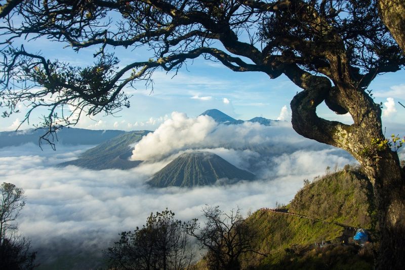 Bromo Tengger Semeru National Park