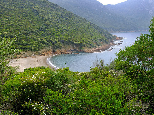 Corsica-budget-beach-escape