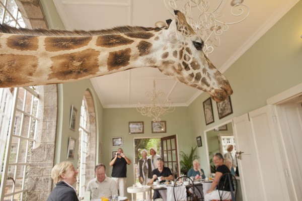 Giraffe Manor in Nairobi Kenya interior