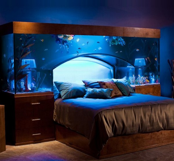 aquarium bed