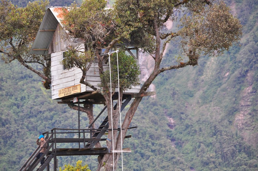 treehouse swing ecuador