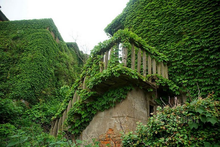 abandoned-village-in-chia-overtaken-by-nature-4
