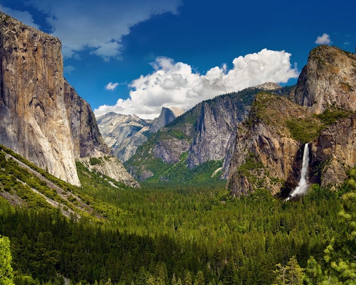 Yosemite National Park (2)