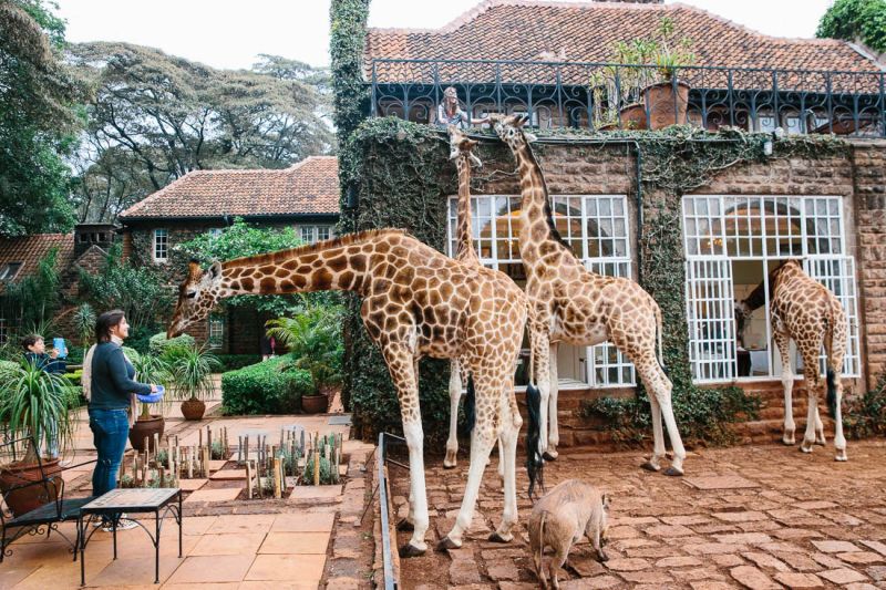 Giraffe manor hotel