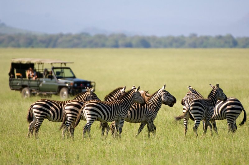 safari Kenya Donyo Lodge