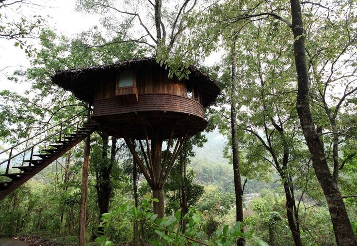 tree house athirapally, india