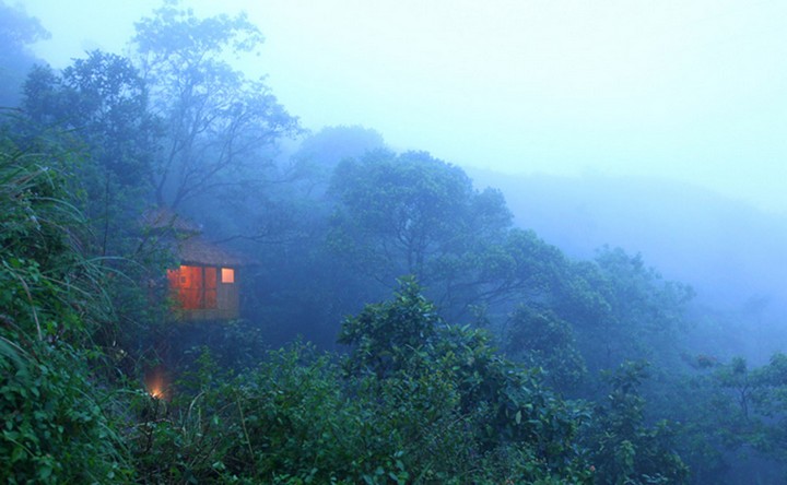 vanya-tree-house-kerala-tehkkady