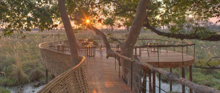 sandibe lodge safari