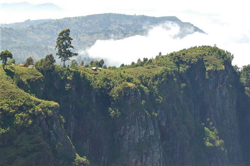 Usambara Mountains Tanzania