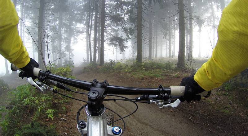 Cycling forest