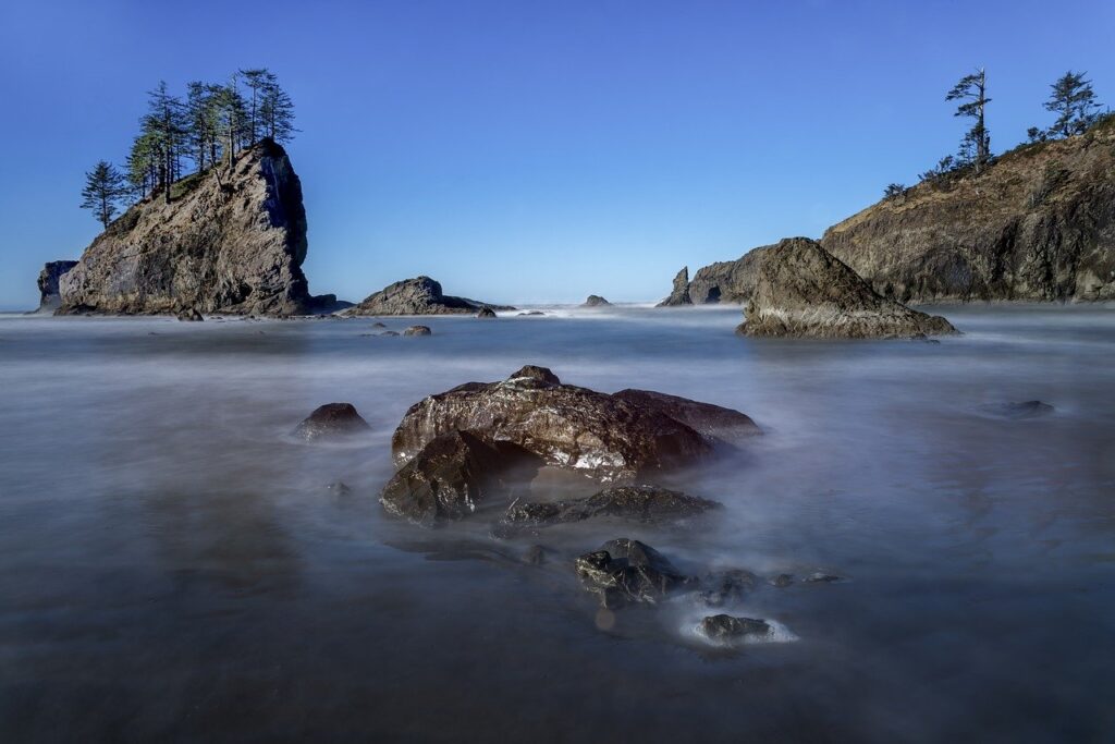 Olympic National Park, image by Roger Mosley
