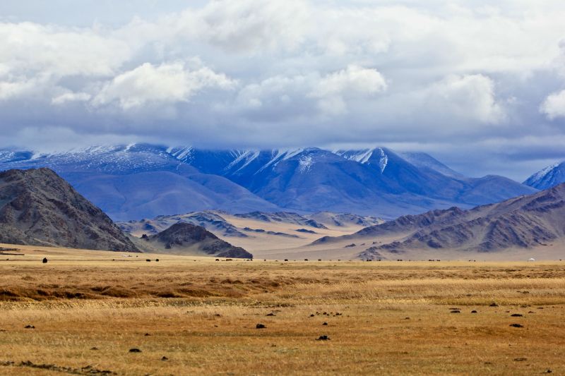 Mongolia drive