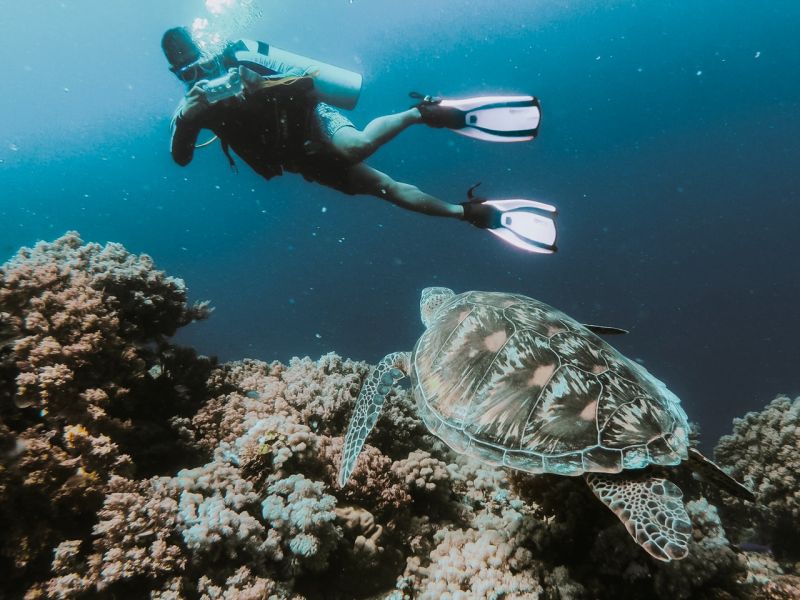 diving Australia