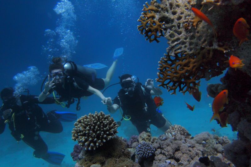 diving schoold Australia reef