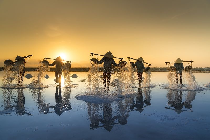 Vietnam salt harvesting