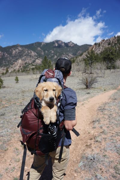 hiking with dog