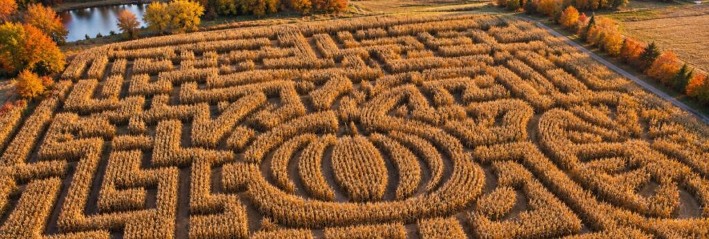 Giant Corn Mazes: The Ultimate Autumn Escape? Giant corn mazes